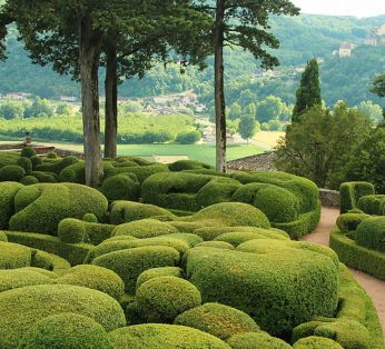 Les Jardins de Marqueyssac