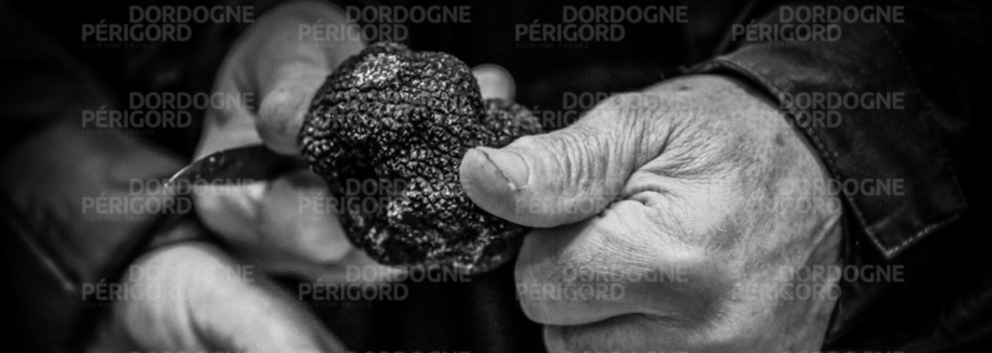 truffe perigord